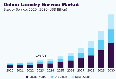 Market Analysis of the Laundry Delivery Apps
