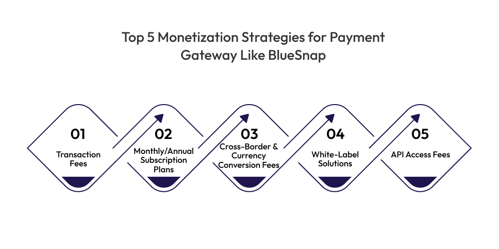 Top 5 Monetization Strategies for Payment Gateway Like BlueSnap