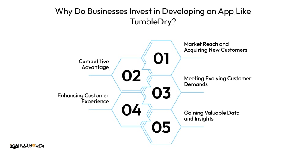 Why Do Businesses Invest in Developing an App Like TumbleDry