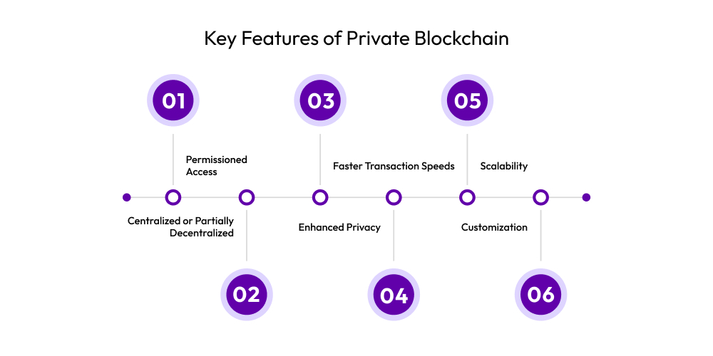 Key Features of Private Blockchain