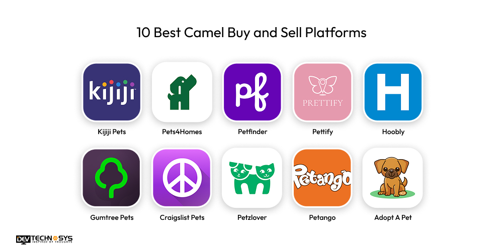 How to Build a Camel Buy and Sell Platform in 2026? Dev Technosys 10 Best Camel Buy and Sell Platforms
