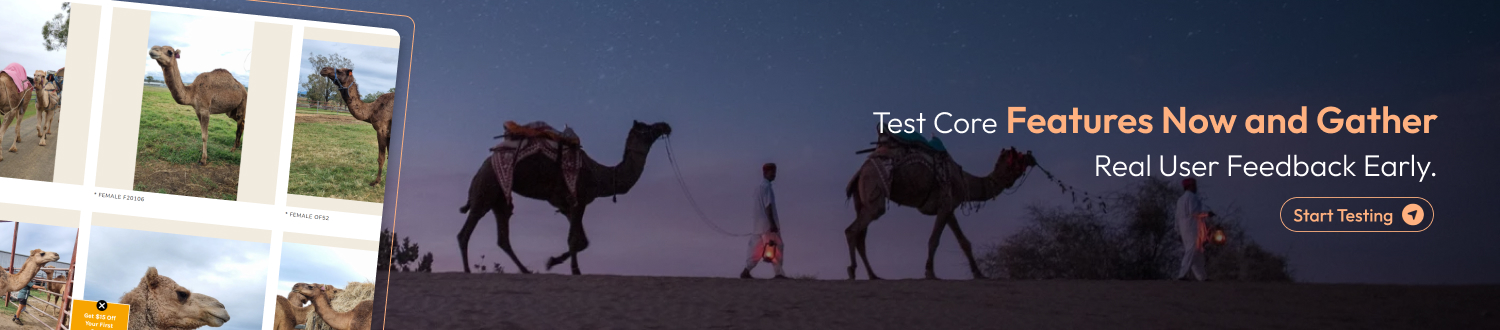 How to Build a Camel Buy and Sell Platform in 2025 cta1