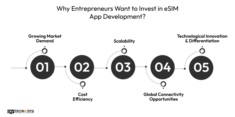 Why Entrepreneurs Want to Invest in eSIM App Development