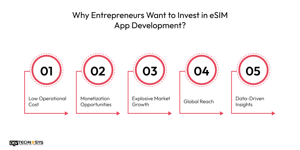 The Ultimate Guide to Create an App Like Holafly Dev Technosys Why Entrepreneurs Want to Invest in eSIM App Development