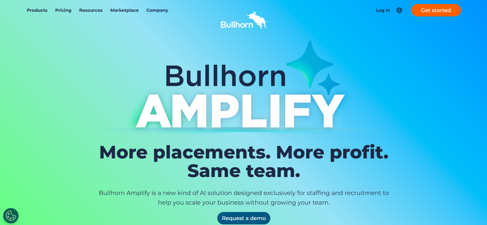 bullhorn