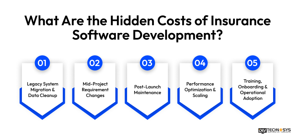 Hidden Costs of Insurance Software