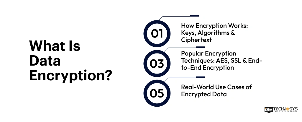 Encryption vs Encoding: Know the Major Differences Dev Technosys What Is Data Encryption