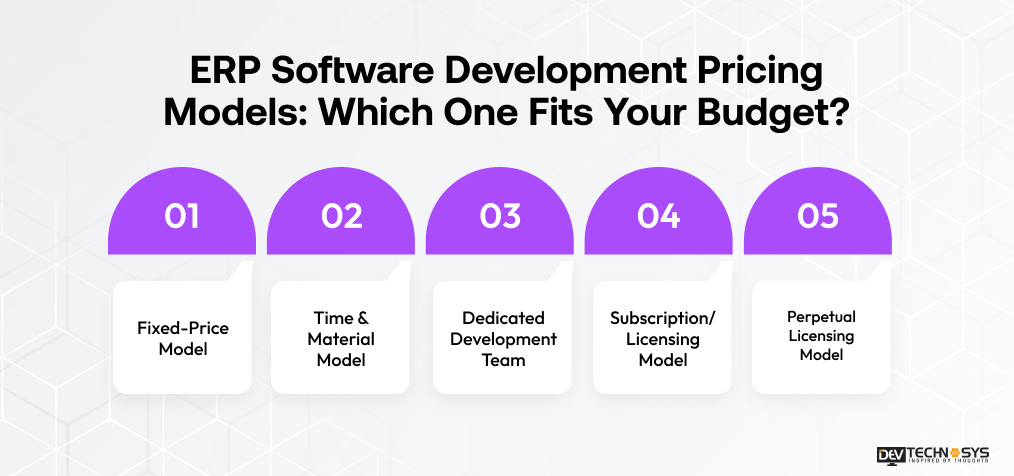 ERP software development Pricing models