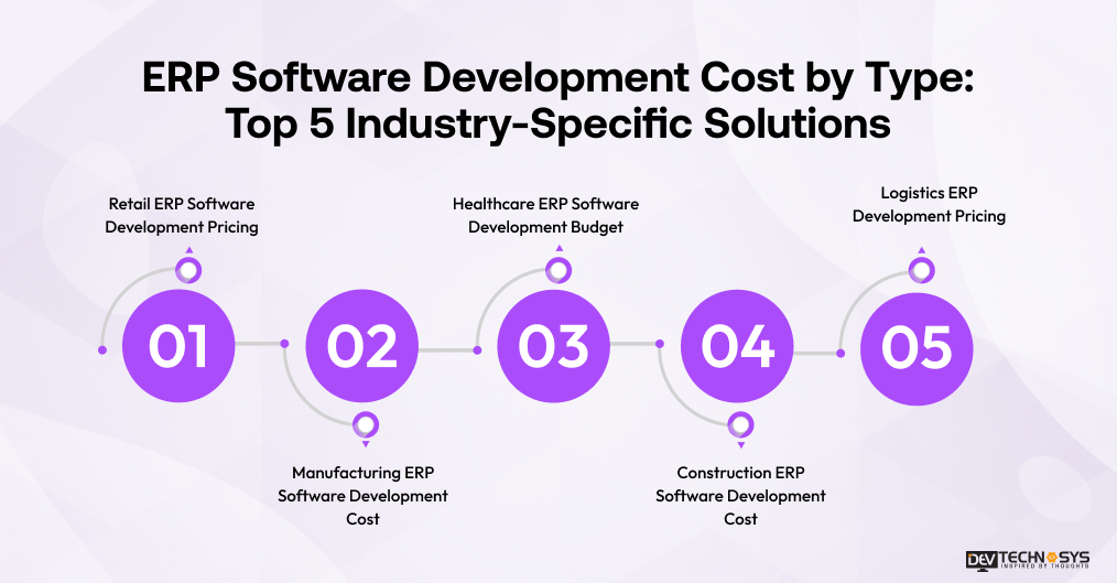 ERP software development cost by type